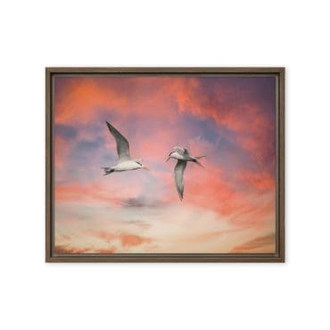 Framed canvas "Wings in Conversation"