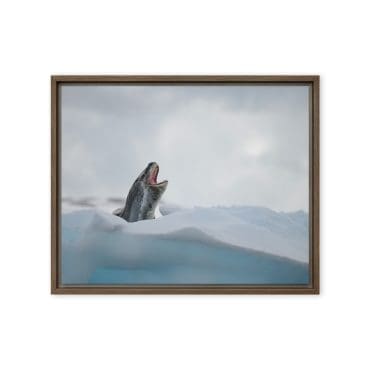 Framed canvas "Rising Spirit"