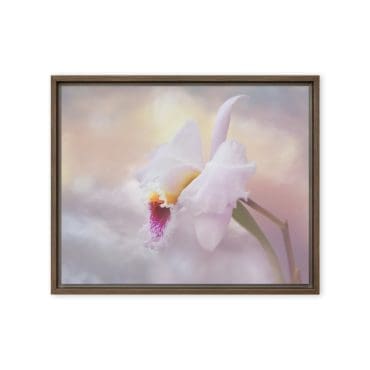 Framed canvas "Floating in Grace"