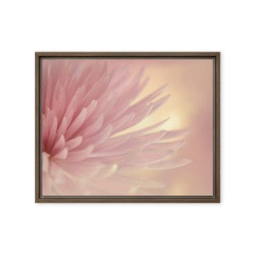 Framed canvas "Whispers of Light"