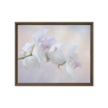 Framed canvas "Cloud Kissed Petals"