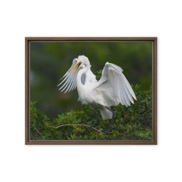 Framed canvas "Pop of White"