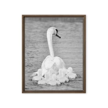 Framed canvas "Feathers and Love"
