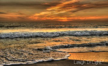 DSC_0869-Edit