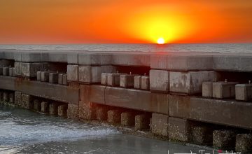 IMG_2822 2-Edit